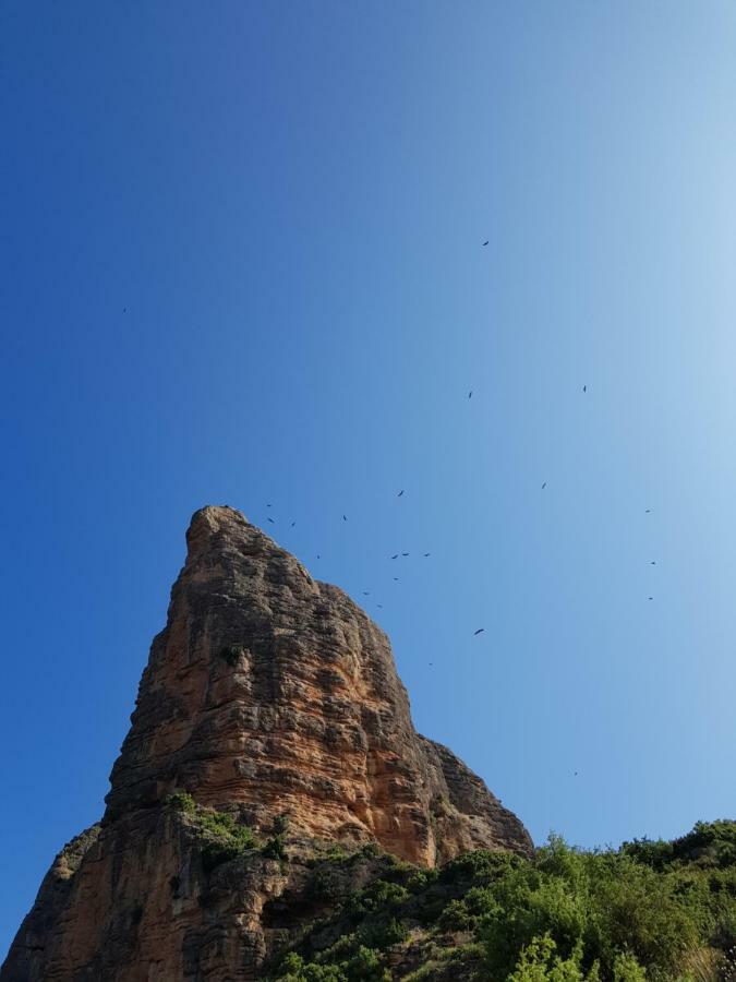 Natura Jordan Murillo de Gállego Buitenkant foto